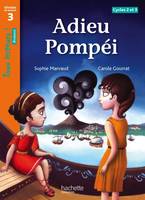 Adieu Pompéi Niveau 3 - Tous lecteurs ! Roman - Livre élève - Ed. 2013