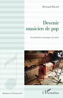 Devenir musicien de pop, Socialisation et musiques de niche