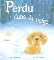 Perdu dans la neige