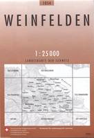 Carte nationale de la Suisse, 1054, Weinfelden 1054