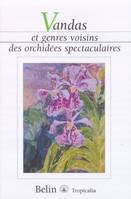 Vandas et genres voisins des orchidées spectaculaires