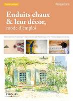 Enduits chaux et leur décor, mode d'emploi, Intérieurs et extérieurs - A pierres vues - Isolants chaux-terre-paille - Isolants chaux-chanvre - Finitions, badigeons et lait de chaux