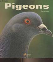 Les pigeons