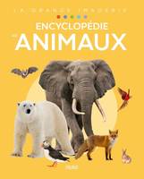 Compilation grande imagerie Encyclopédie - Les animaux