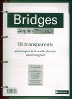 Bridges Term. L, ES, S - transparents