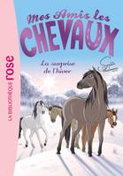 7, Mes amis les chevaux / La surprise de l'hiver / Ma première bibliothèque rose