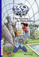 7, Les 39 clés, Tome 07, Sur les traces de Chaka Zoulou