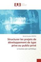 Structurer les projets de développement de type prive ou public-privé, Le business plan synthétique