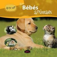 LES BEBES ANIMAUX