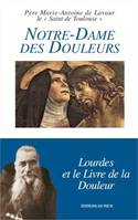 Notre-Dame des Douleurs, Lourdes et le Livre des Douleurs