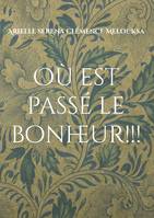 Où est passé le bonheur!!!, Le combat d'une jeune fille pour réaliser son rêve, Celui de retrouver son père disparu pendant la guerre.