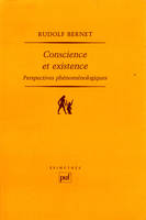 Conscience et existence, Perspectives phénoménologiques