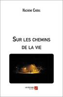 Sur les chemins de la vie, Poésie