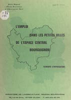 L'emploi dans les petites villes de l'espace central bourguignon, Éléments d'appréciation