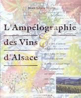 L'ampélographie des vins d'Alsace