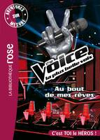 C'est toi le héros, Aventure sur mesure - The Voice