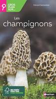 Les champignons