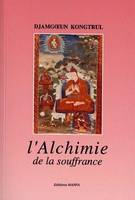 L'alchimie de la souffrance, la voie droite vers l'éveil