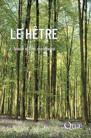 Le hêtre