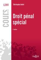 Droit pénal spécial - 2e éd.