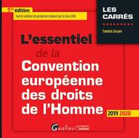 L'essentiel de la Convention européenne des droits de l'homme, Tout le système de protection instauré par la CEDH