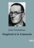 Siegfried et le Limousin, Une exploration profonde de l'identité, de la mémoire et des conséquences de la guerre