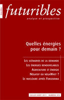 Quelles énergies pour demain ?, Les scénarios de la demande