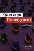 QU'EST-CE QUE L'EMERGENCE?