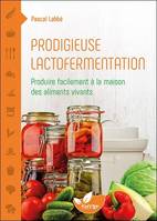 Prodigieuse lactofermentation, Produire facilement à la maison des aliments vivants