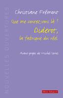 Que me contez-vous là ?, Diderot, la fabrique du réel