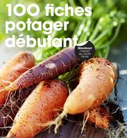 Potager débutant