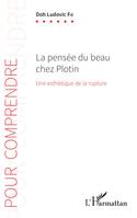 La pensée du beau chez Plotin, Une esthétique de la rupture