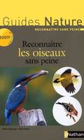 Reconnaître les oiseaux sans peine