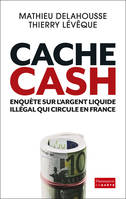 Cache Cash, Enquête sur l’argent liquide illégal qui circule en France