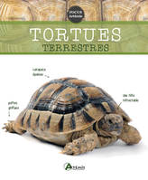 Tortues terrestres