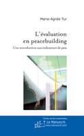 L'évaluation en peacebuilding, une introduction aux indicateurs de paix