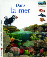 Dans la mer