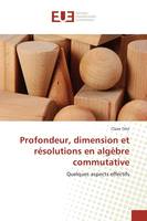 Profondeur, dimension et résolutions en algEbre commutative