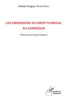 Les dimensions du droit syndical au Cameroun