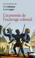 Economie de l'esclavage colonial