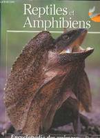 Reptiles et amphibiens -