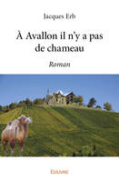 à avallon il n'y a pas de chameau, Roman