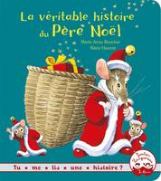 La véritable histoire du Père Noël NED