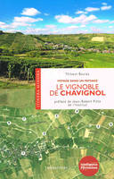 Le vignoble de Chavignol, Voyage dans un paysage