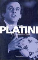 Platini, le roman d'un joueur, le roman d'un joueur