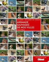 Animaux sauvages de nos villes