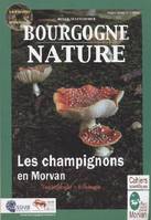 Les champignons en Morvan, Toxicologie, écologie