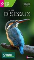 Les oiseaux