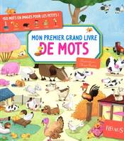 MON PREMIER GRAND LIVRE DES MOTS