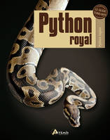 Python royal - Python regius
